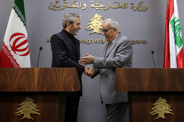 Ali bagheri kani, ali bagheri kani wife, iran , iran foreign minister