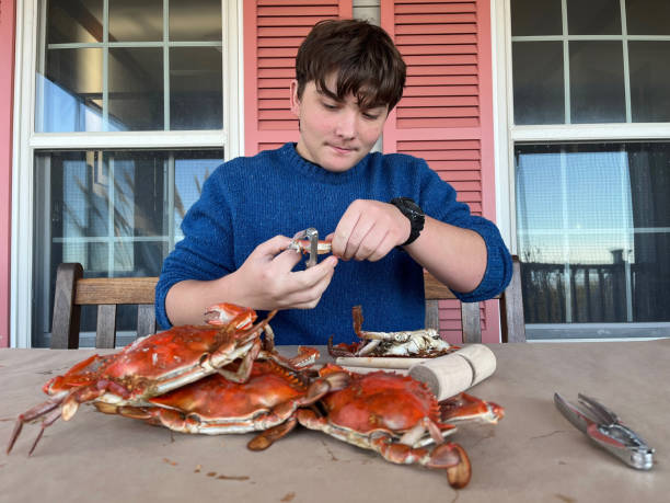 How Many Crabs in a Bushel, How many dozen are in a 1/2 bushel of crabs