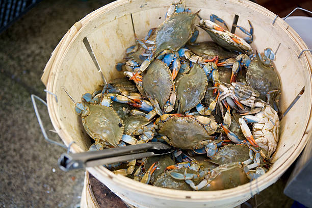 How Many Crabs in a Bushel, How many dozen are in a 1/2 bushel of crabs
